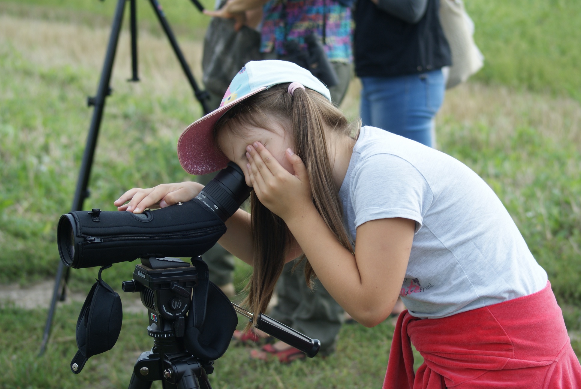 You are currently viewing Mamo, Tato, kiedy „idziemy na ptaki”? czyli co to jest birdwatching